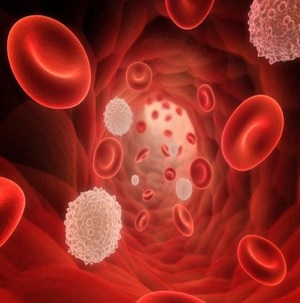 Hematología