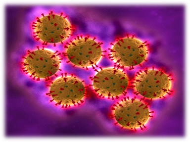 Bacteriologia