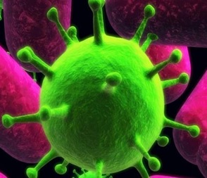 Bacteriologia