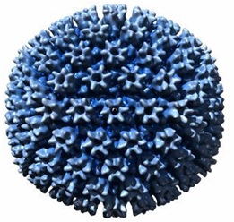 Bacteriologia