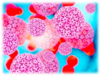 Bacteriologia