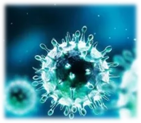 Bacteriologia