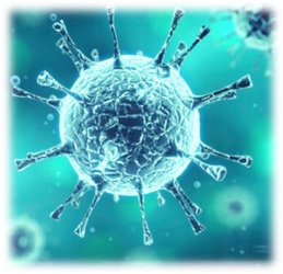 Bacteriologia