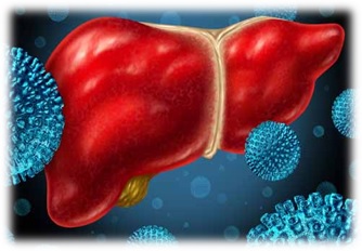 Bacteriologia