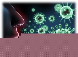 Bacteriologia